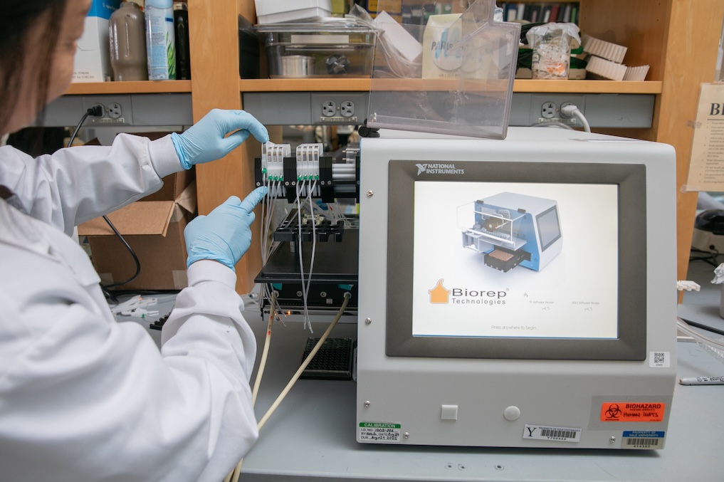 Scientist at a workstation