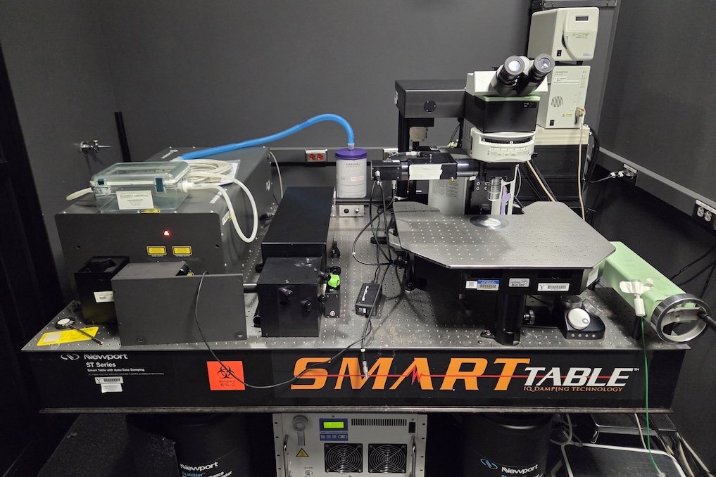 Microscope on a damping table