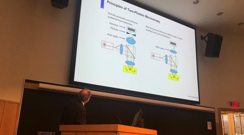 A man at a podium looks at a PowerPoint slide