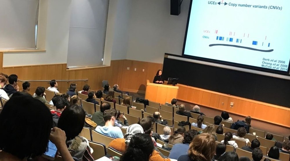 People in an auditorium look at a PowerPoint slide