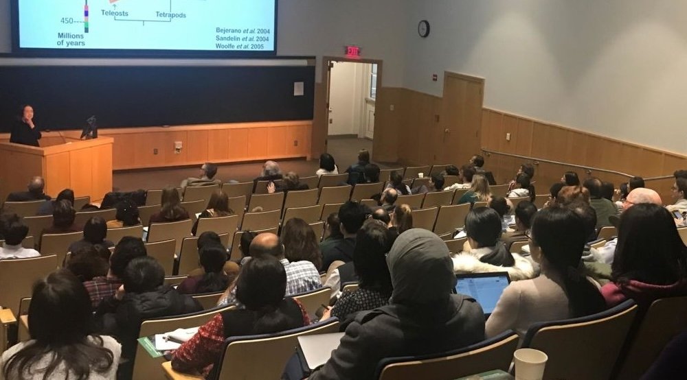 People in an auditorium look at a PowerPoint slide