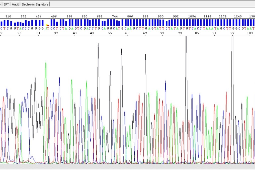 Chromatogram