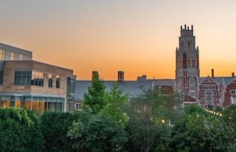 Sunset behind Yale buildings, trees in foreground