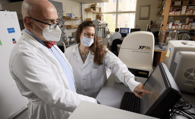 Two masked people in white coats point at a screen in a lab
