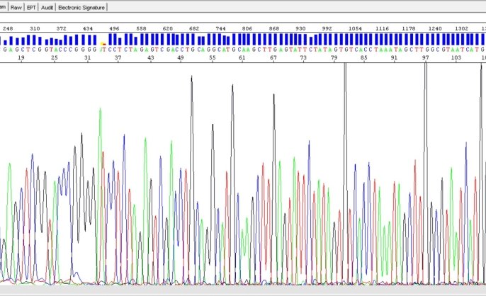 Chromatogram