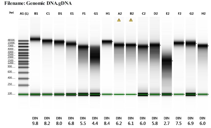 Genomic