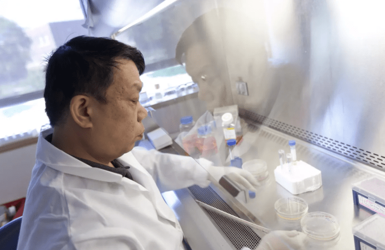 Researcher in a white coat works with stem cells