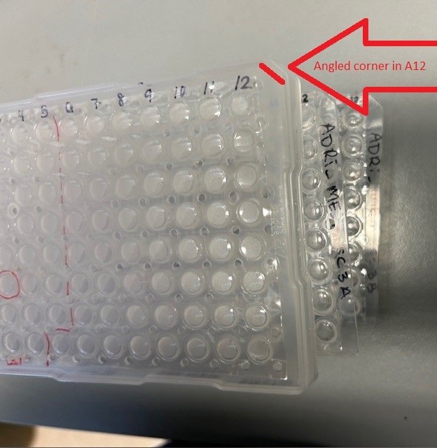 Angled corner in A12 of plate