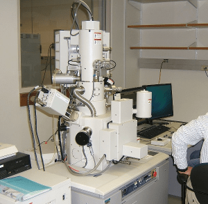 Scanning electron microscope