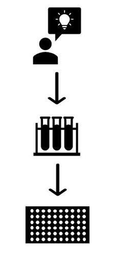 Schematic of process from idea to assay