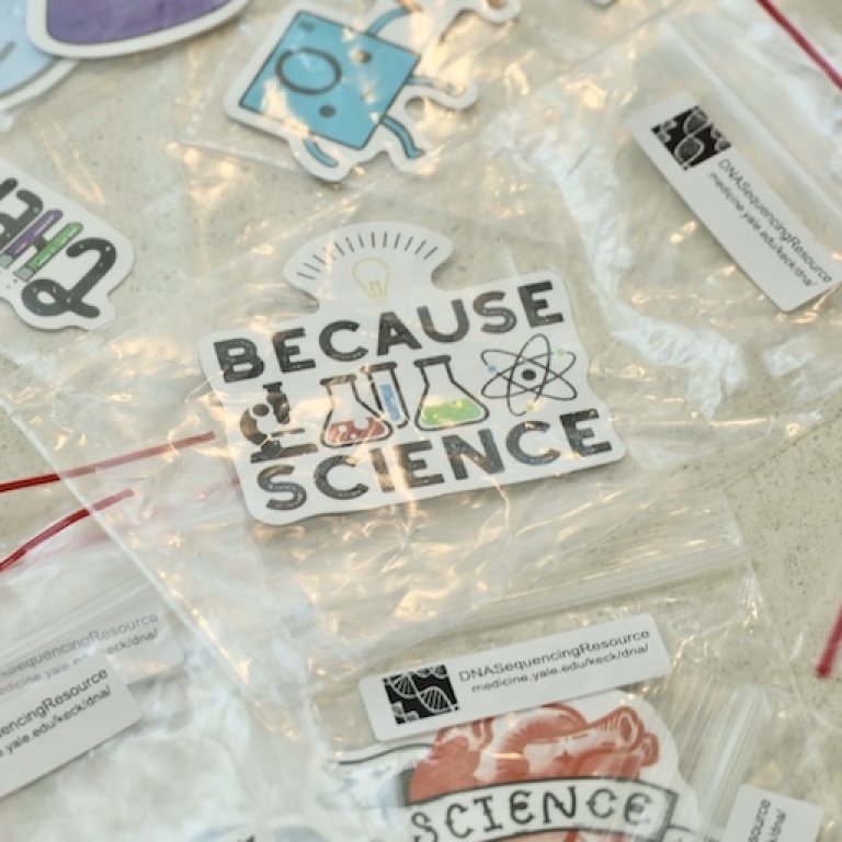 Science-themed stickers in clear plastic bags