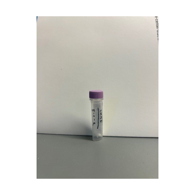 Tube with researcher code & template-primer name