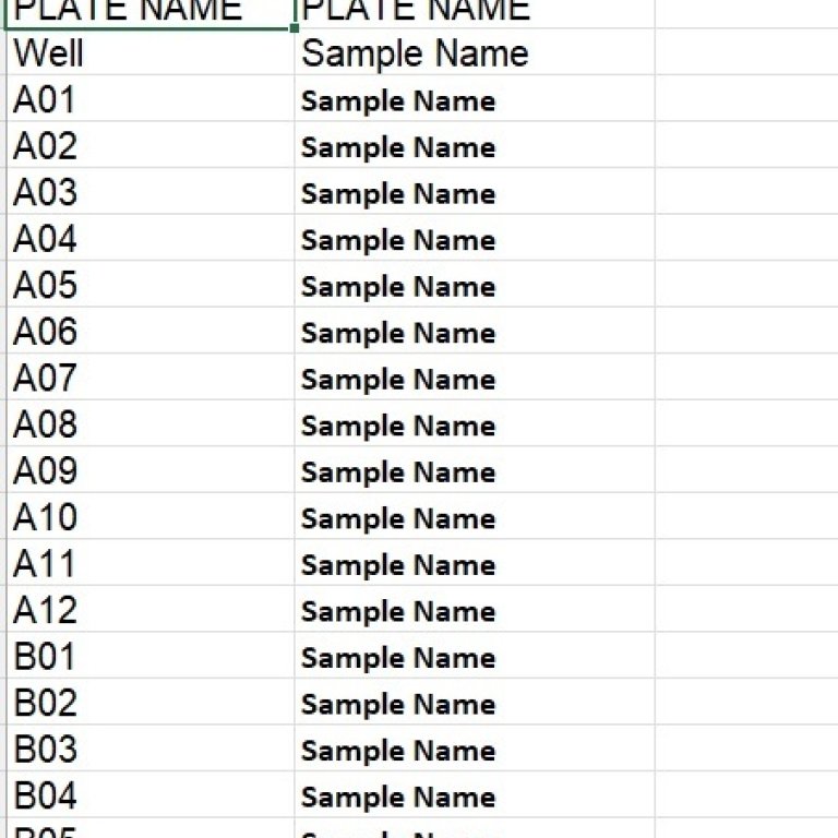 Sample sheet template