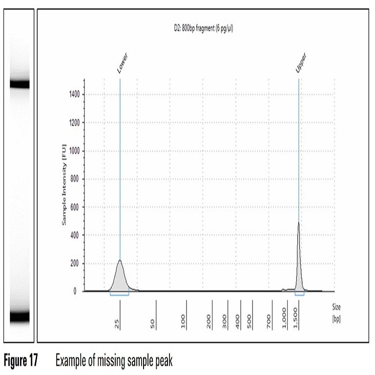 Missing sample peak