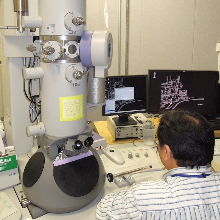 Researcher looking at microscope and monitor